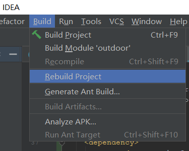 重新编译项目